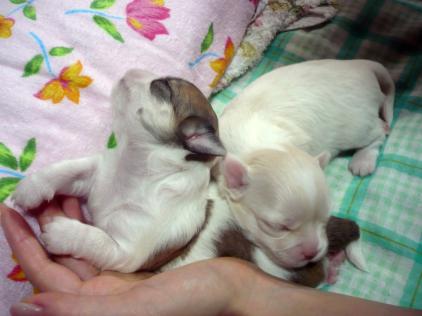 男の子：のびのび～です(#^.^#)