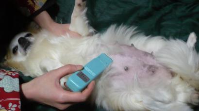 ひなた：くすぐったい～♪