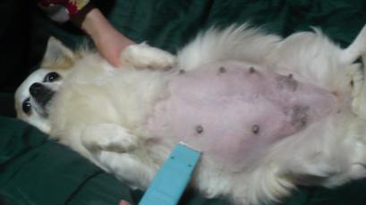 ひなた：丸見え(^_^;)