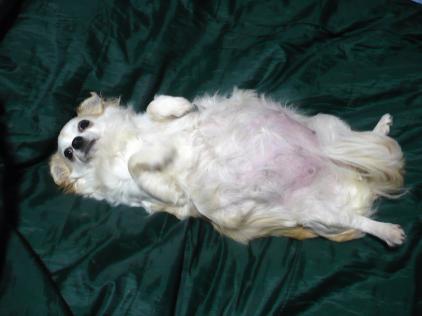 いちご：私も見て～(^_-)-☆