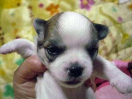 お腹いっぱい～(*^。^*)Ｖです♪