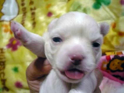 はーい(*^。^*)Ｙ