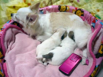 ココロ：いっぱい飲んで～(*^^)v