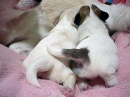 うま～ちゅう～(^・^)ｓ