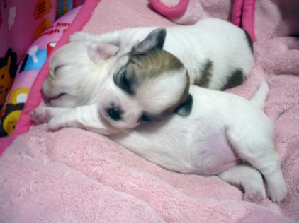 お腹いっぱい～(#^.^#)Ｖ