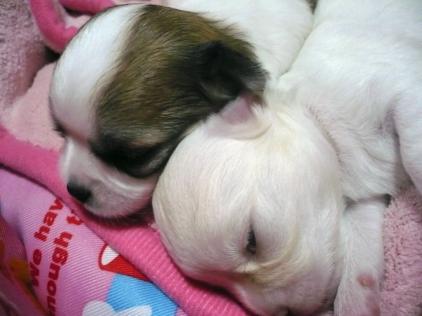 仲良し～(^_-)-♪