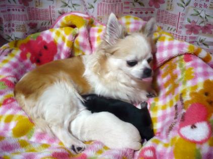 ひなた：可愛い～(^^♪