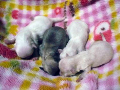 ♂子～♀子～♀子～♂子(^_-)-☆