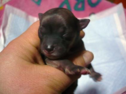 ♀子：私～ママ似～(#^.^#)ｖ