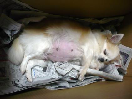 ひなた：ここは、落ち着く～♪