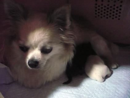 ひなた：可愛い～赤ちゃん♪