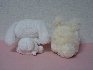 たなぽとシナモン２