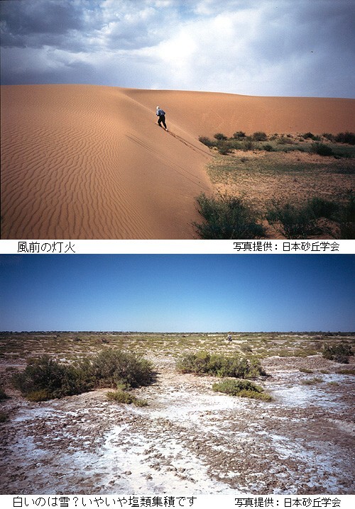 Template:砂漠化