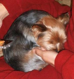 DSCF3766.JPG