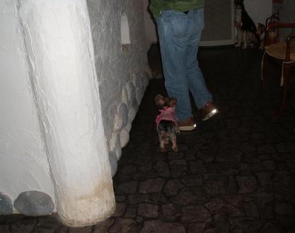 DSCF9017.JPG