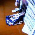 050401-3.jpg