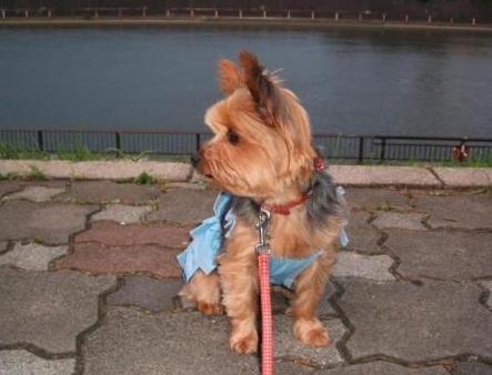 DSCF6394.JPG