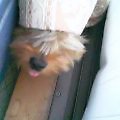 20060704-2.jpg