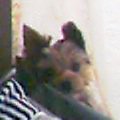20060713-1.jpg