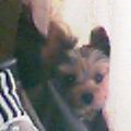 20060713-2.jpg