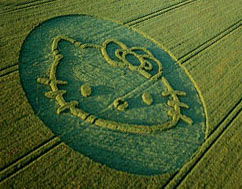 hello_kitty_crop_circle.jpg