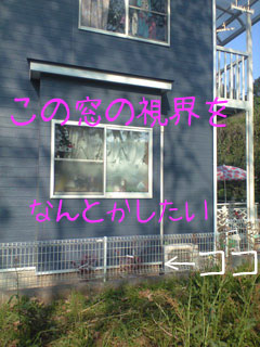 CA3A0479.jpg