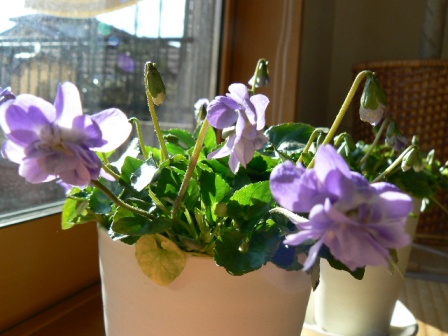 10_01_24 006.jpg