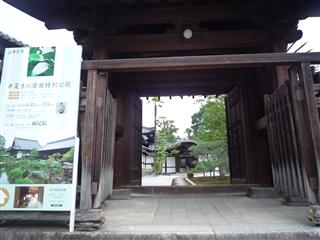 P1080543.jpg