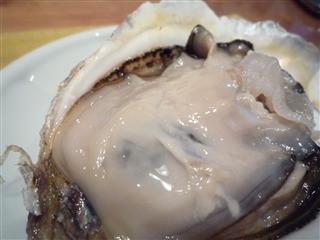 P1070817.jpg