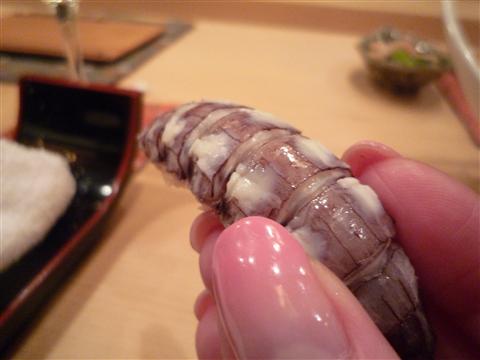 P1030009.jpg