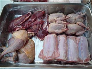 P1000571_R.jpg