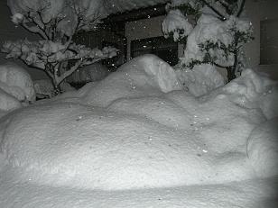 雪