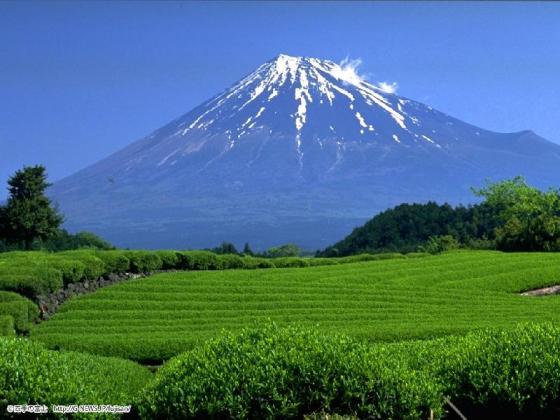 富士山