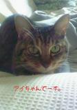 2008-09-14 19:26:18