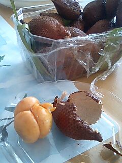 ランプータン (1).JPG