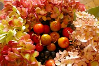 10月レッスン　2011