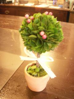 トピアリー　マル