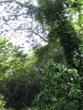 IMG_2917.JPG
