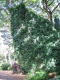 IMG_2919.JPG