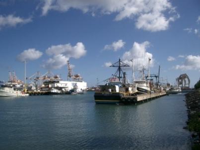 CIMG0984.JPG