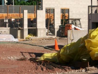 CIMG1072.JPG