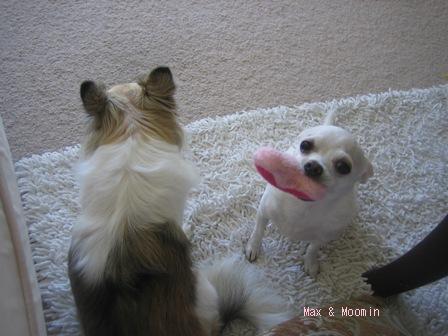 2010-04-29 04:33:27