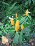 IMG_2935.JPG