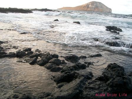 2010-03-13 03:35:25