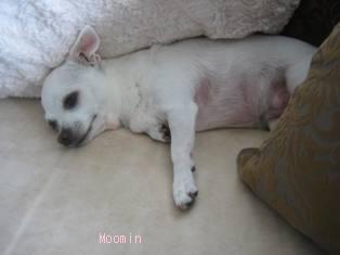 2010-04-08 04:15:13