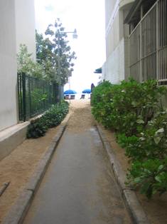 IMG_2115.JPG
