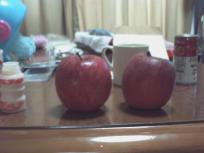 チビちゃんの大好きリンゴ♪