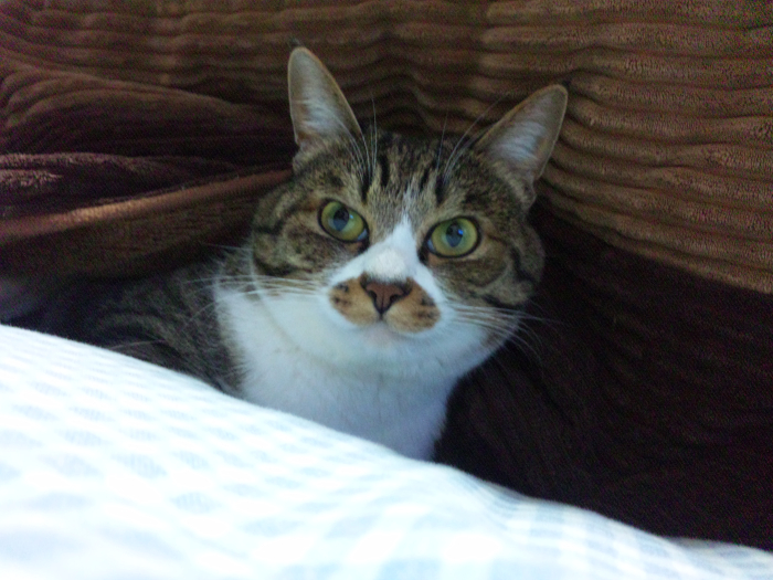 20111232.jpg