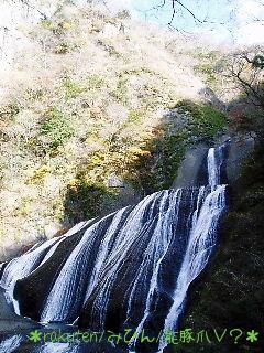 袋田の滝　横から