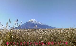 去年の富士山とすすき
